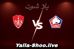مشاهدة مباراة نادي ليل و بريست بث مباشر اليوم 2026-02-14 Yalla Shoot