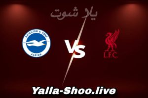 مشاهدة مباراة ليفربول و برايتون بث مباشر اليوم 2026-02-14 Yalla Shoot